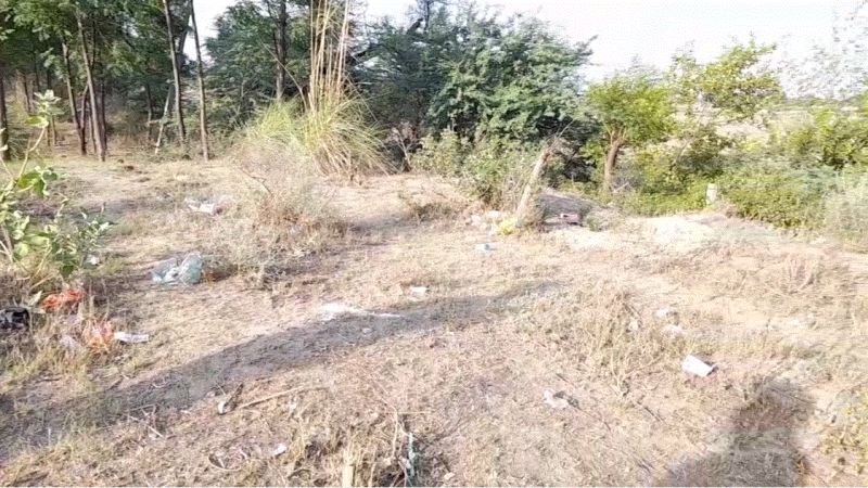 Forest department and tree keepers face to face over tree care