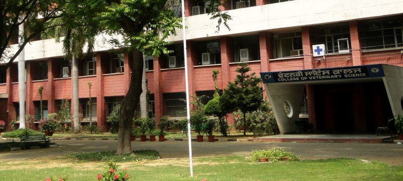 Guru Angad Dev Veterinary and Animal Sciences University