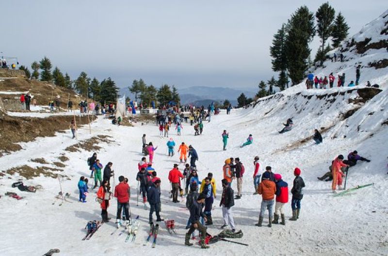 Shimla