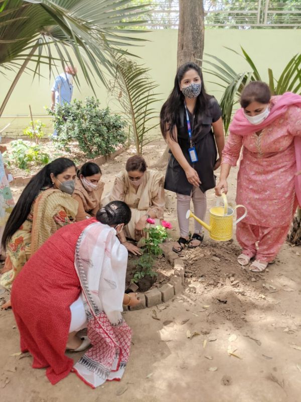 Tree plantation drive