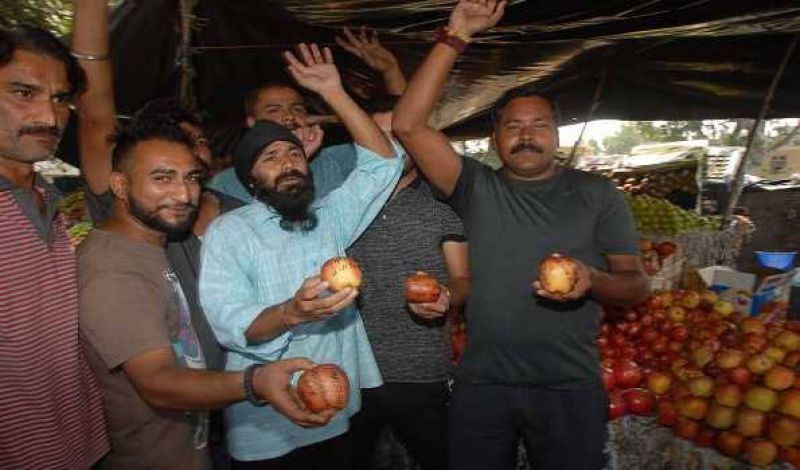 Freedom slogans written on apples from Kashmir