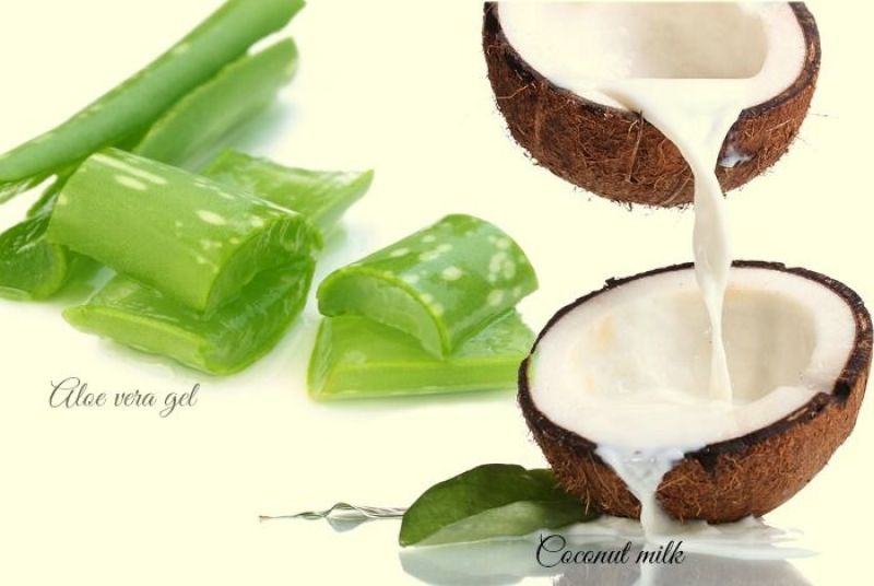 Aloe vera Gel and Coconut Milk