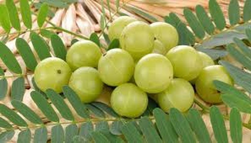 Face beauty benefits 