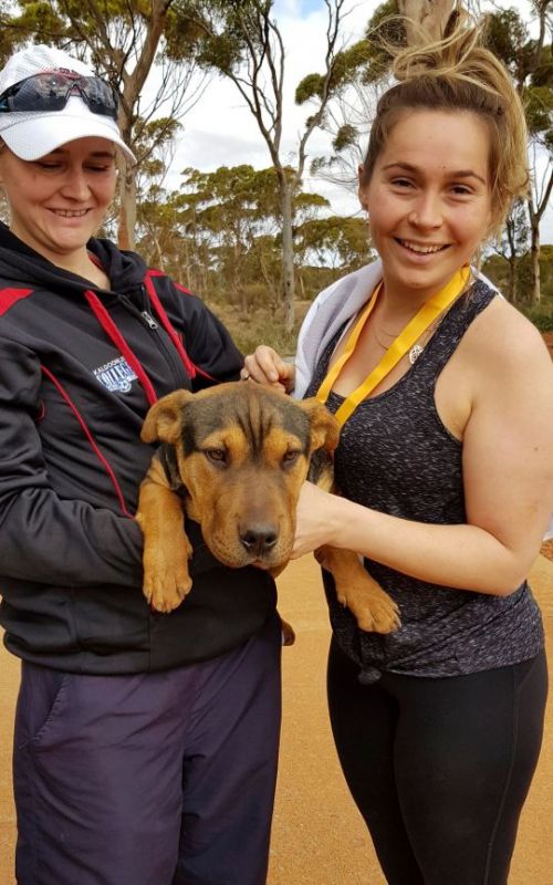 Half-Marathon Win Dog