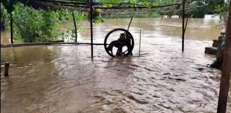 Heavy rainfall in Punjab, 81 Villages Evacuated in Punjab