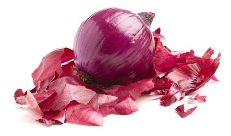 Health and beauty benefit of onion leaves