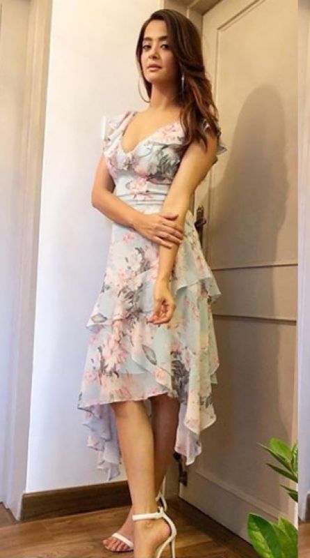 Surveen Chawla Fraud case