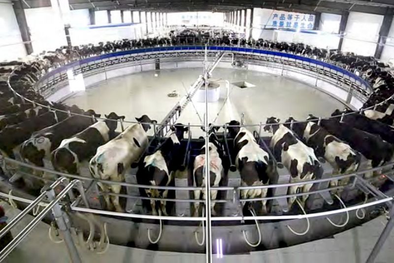  Helpful tips for farmers in the business of animal husbandry