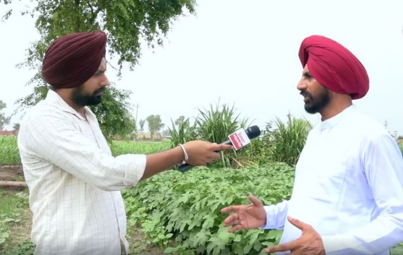 Balwinder Singh Sandhu Farmer