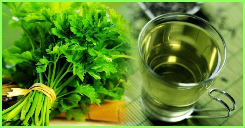 Green Coriander Juice