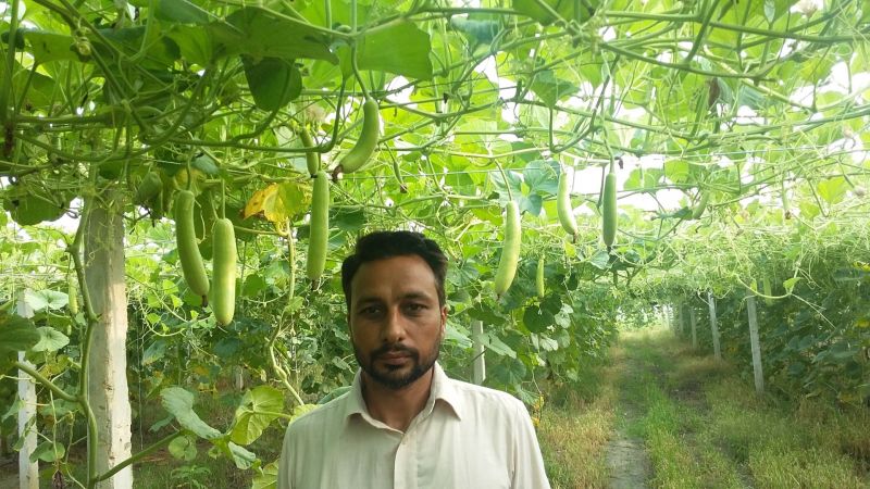 Amarjit Singh Dhillon 