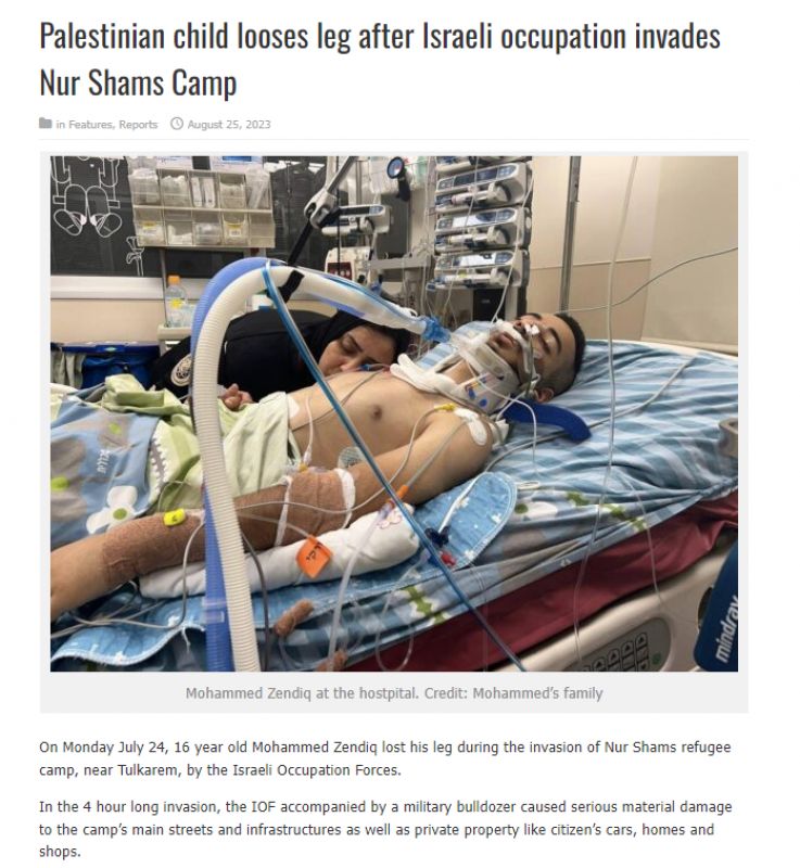 Palsolidarity Report