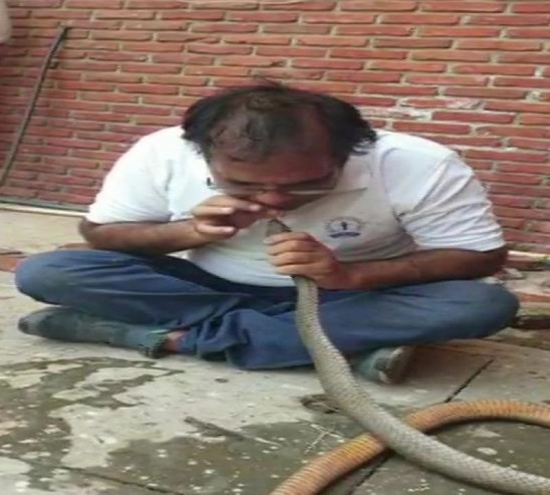 Income-Tax officer rescues snake attacked with pesticide in Indore