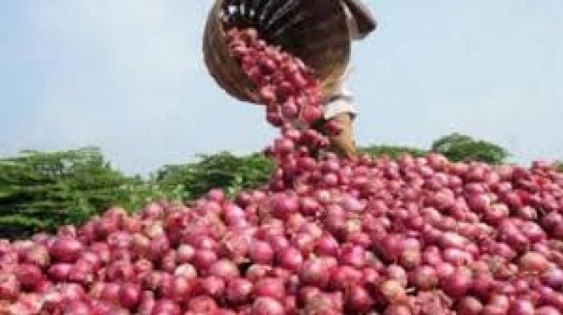 23.90 kg onion in Delhi