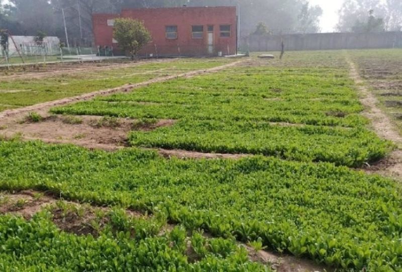  Burail Jail Burail Jail