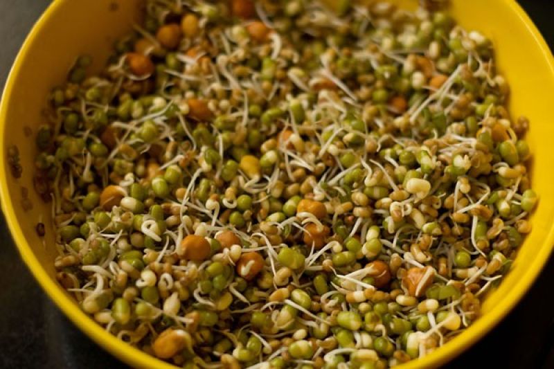 sprouts