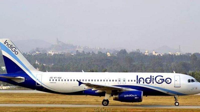 Indigo