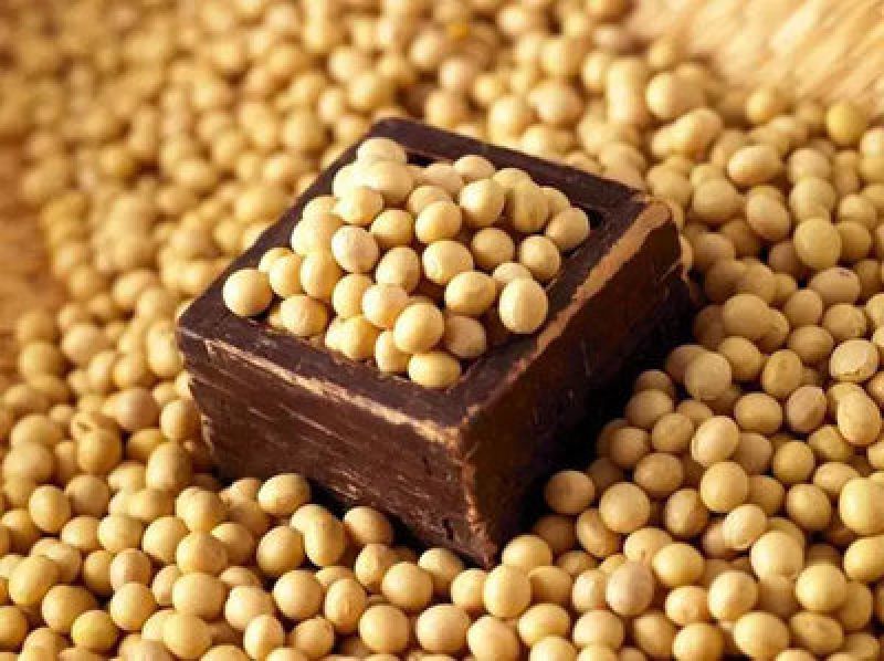 Soybean trans fat 