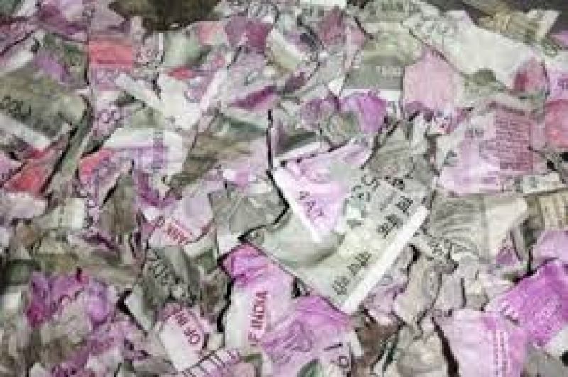 Rat damage 50000 rupees