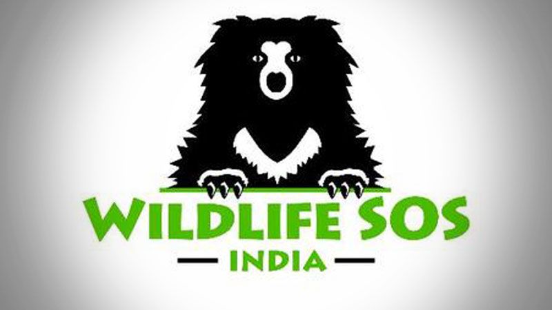 Wildlife SOS