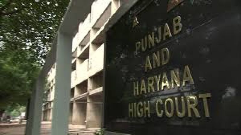 Punjab-Haryana HC