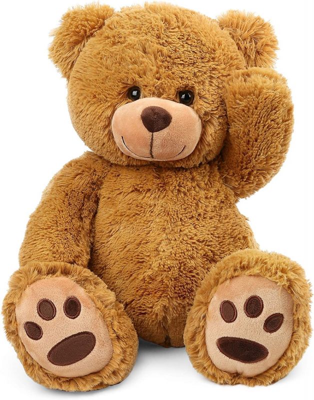  Teddy Bear
