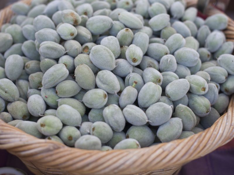 Green almonds