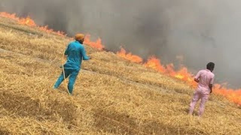 Restricting burning of crop residue