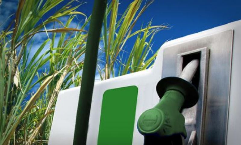 Ethanol prepared from Sugarcane