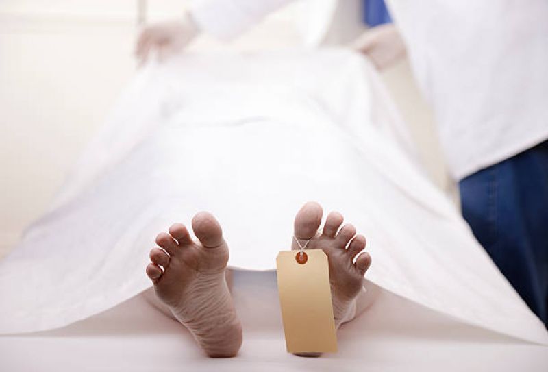 Ants crawl over dead body eyes in Madhya Pradesh