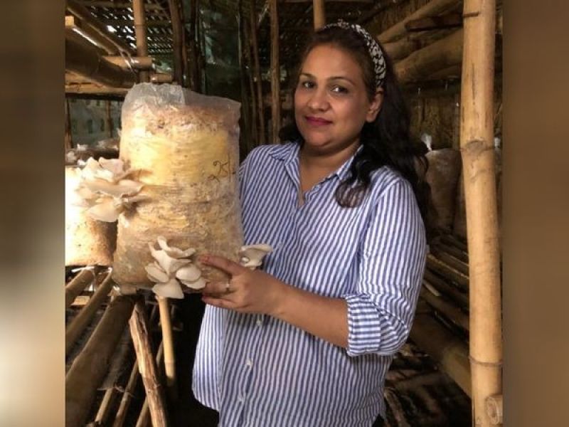 Mushroom cultivation