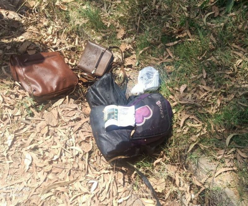 A car fell into the Bhakra canal