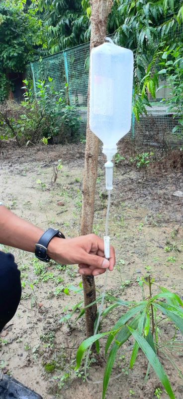 Farmer Build Drip Irrigation System Using Waste Glucose Bottles