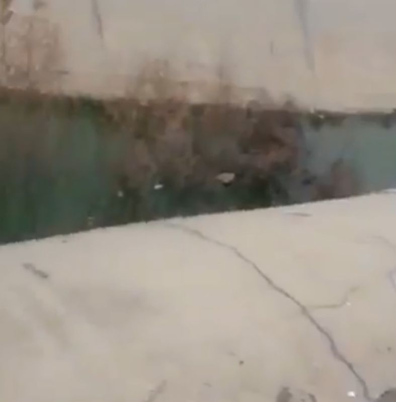 2 minors found dead from water body in Noida