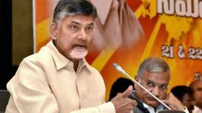 andhra pradesh cm chanderbabu naidu 