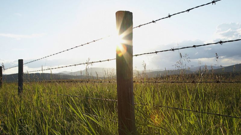 Kandi farmers to get 50% financial assistance for fencing fields