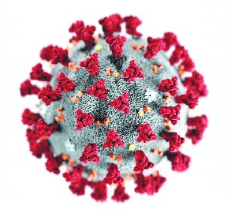 Corona Virus