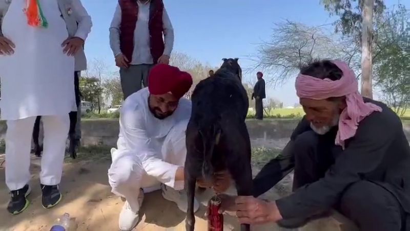 Charanjit Singh Channi