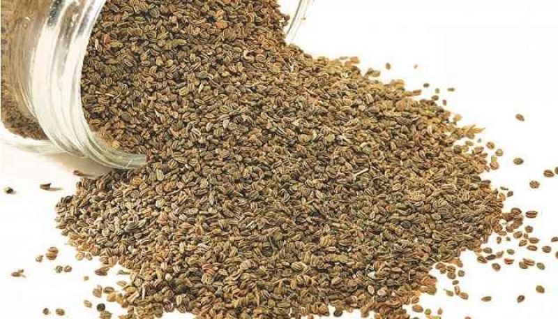 carom seeds