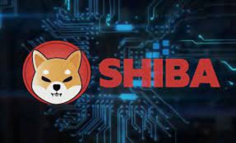 Shiba Inu Coin