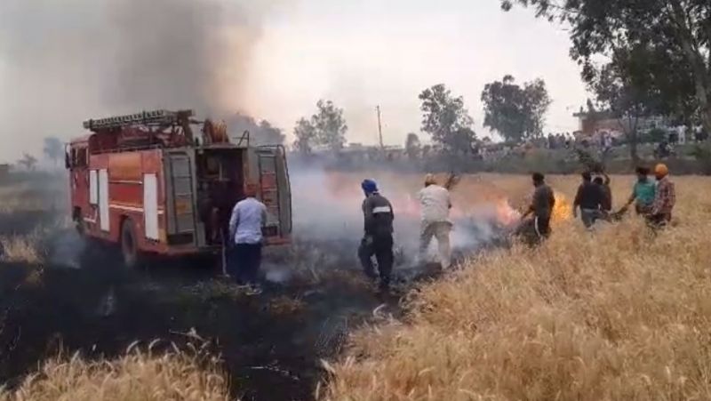 Wheat crop damaged in fire