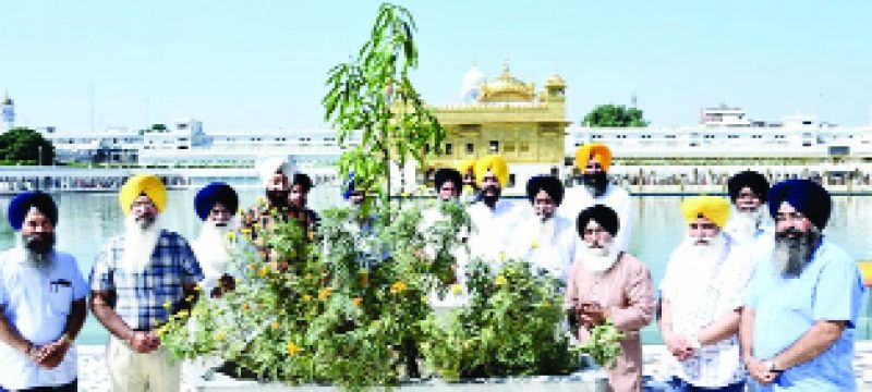 ਸ੍ਰੀ ਦਰਬਾਰ ਸਾਹਿਬ ਦੀ ਪਰਕਰਮਾ ਵਿਚ ਗਮਲਿਆ ਅੰਦਰ ਅੰਬ ਦੇ ਬੂਟੇ ਲਗਾਉਣ ਸਮੇਂ ਡਾ. ਰੂਪ ਸਿੰਘ, ਸ. ਸੁਖਦੇਵ ਸਿੰਘ ਭੂਰਾਕੋਹਨਾ, ਸ. ਕੁਲਵਿੰਦਰ ਸਿੰਘ ਰਮਦਾਸ, ਸ. ਸਕੱਤਰ ਸਿੰਘ, ਸ. ਮੁਖਤਾਰ ਸਿੰਘ ਅਤੇ ਹੋਰ।