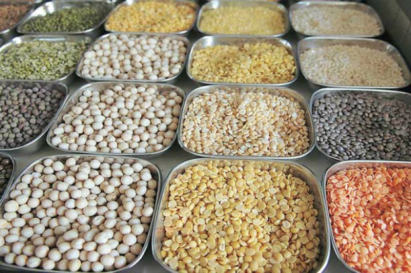 pulses price decline