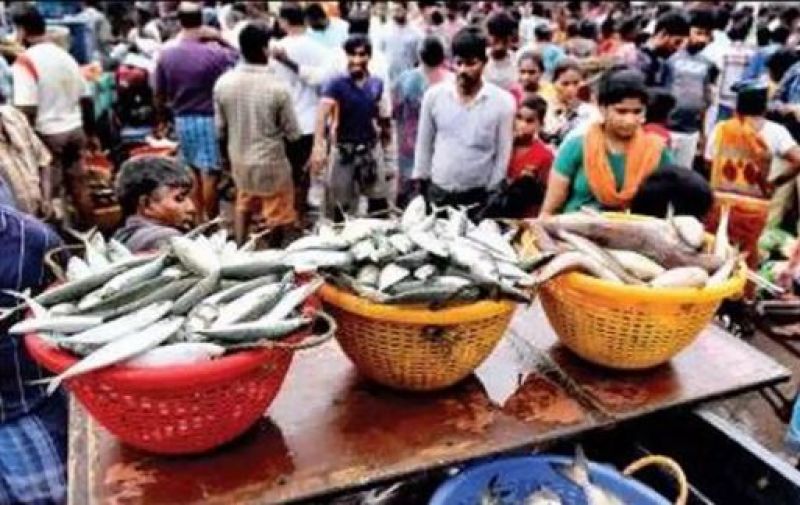 fish of Rs 5.5 lakh