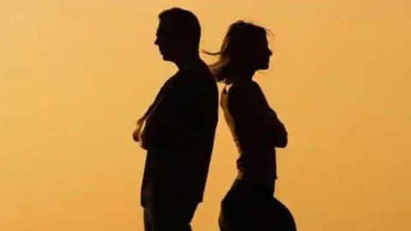 If the wife is able to earn, then she should get alimony even after divorce: Delhi High Court