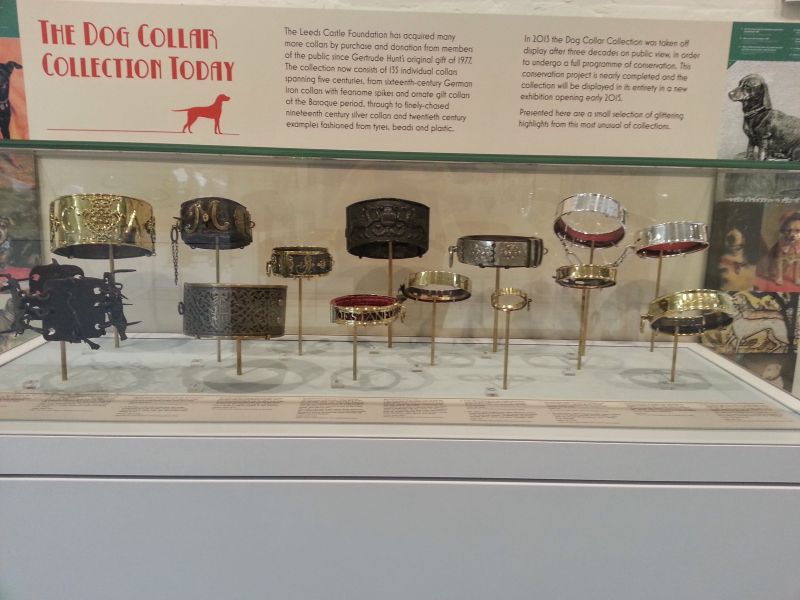 the dog collar museum