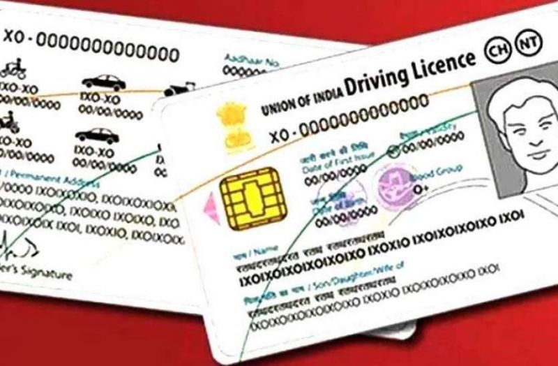 driving licences 