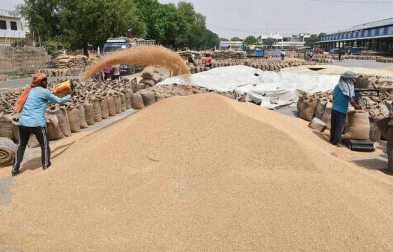Government hikes MSP for wheat by Rs 85/quintal; pulses up to Rs 325/quintal