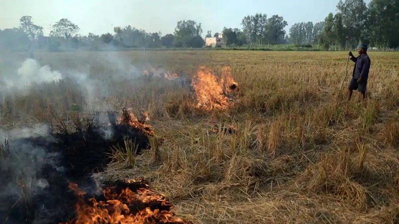 Stubble burning in Punjab 