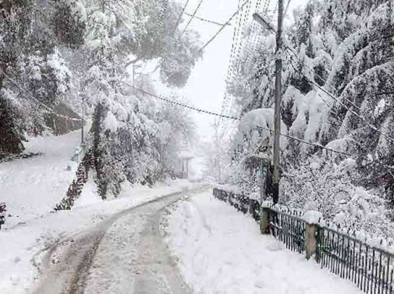Himachal SnowFall 